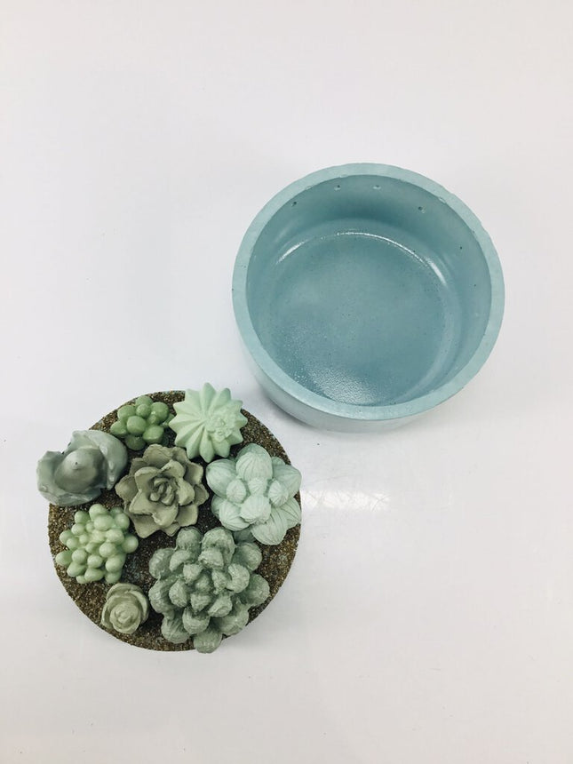 Concrete Succulent Garden Container