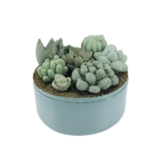 Concrete Succulent Garden Container