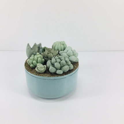 Concrete Succulent Garden Container