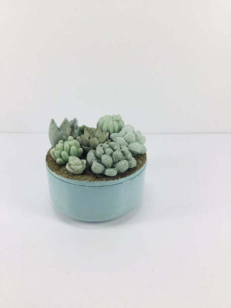 Concrete Succulent Garden Container