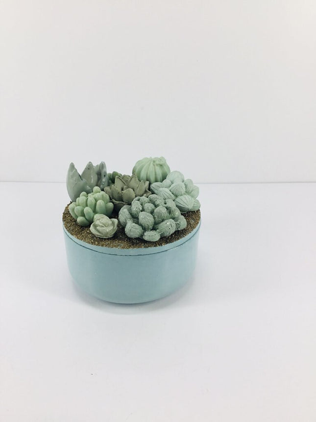 Concrete Succulent Garden Container