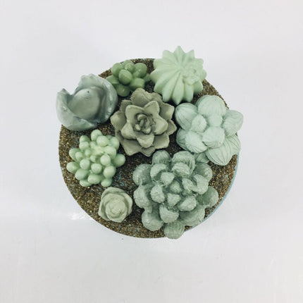 Concrete Succulent Garden Container
