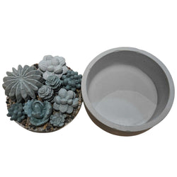 Concrete Succulent Garden Container - view 2