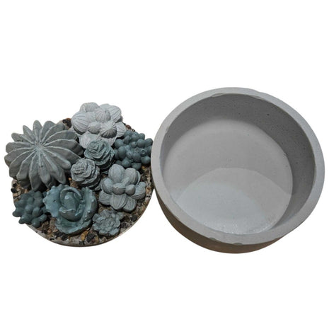 Concrete Succulent Garden Container