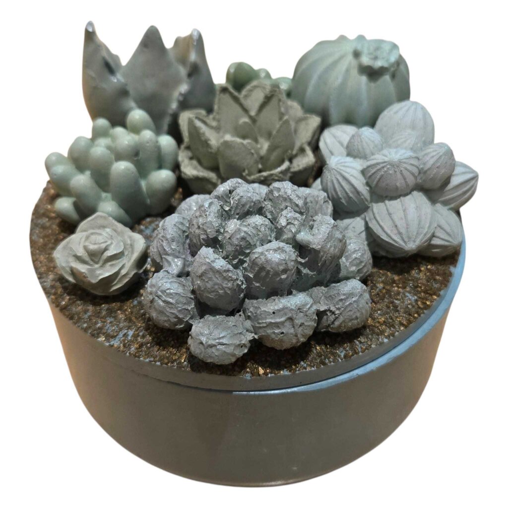 Concrete Succulent Garden Container