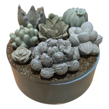 Concrete Succulent Garden Container