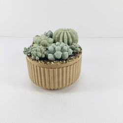 Concrete Succulent Garden Container - Ribbed - view 2