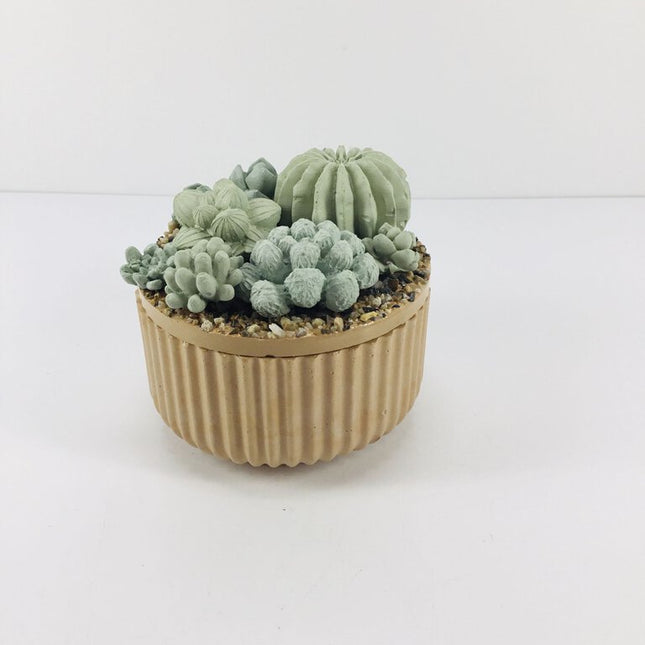 Concrete Succulent Garden Container - Ribbed