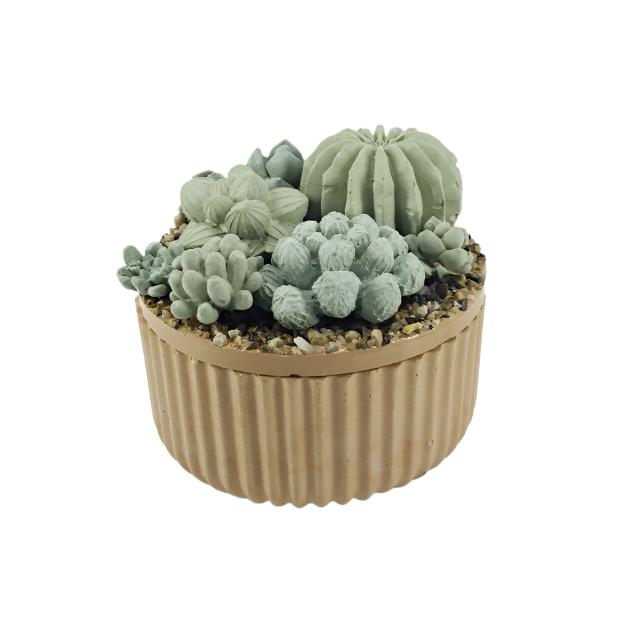 Concrete Succulent Garden Container - Ribbed