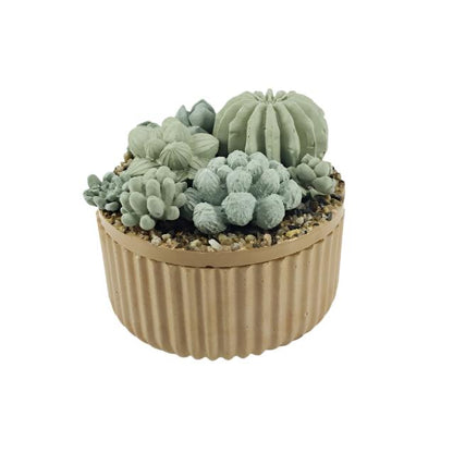 Concrete Succulent Garden Container - Ribbed