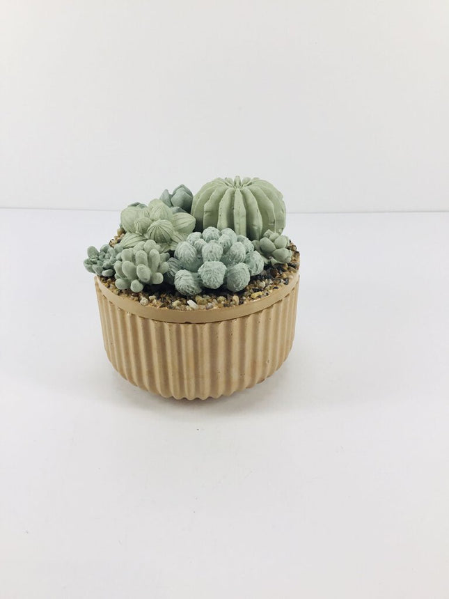 Concrete Succulent Garden Container - Ribbed