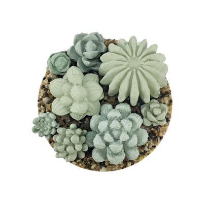 Concrete Succulent Garden Container - Ribbed