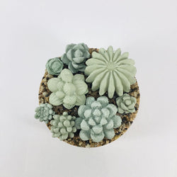 Concrete Succulent Garden Container - Ribbed - view 3