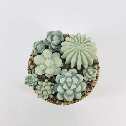 Concrete Succulent Garden Container - Ribbed