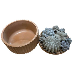 Concrete Succulent Garden Container - Ribbed - view 1