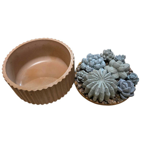 Concrete Succulent Garden Container - Ribbed