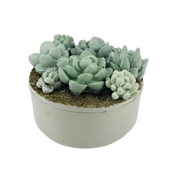 Concrete Succulent Garden Container