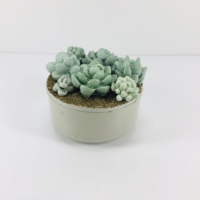 Concrete Succulent Garden Container