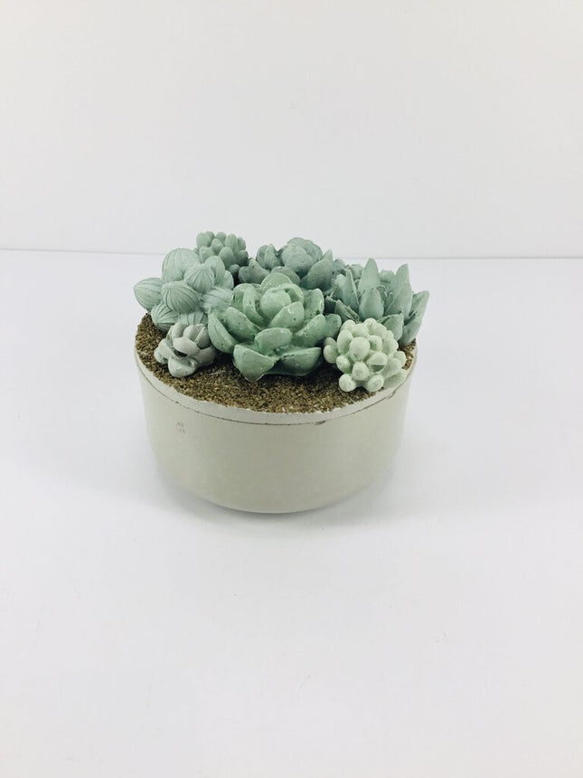 Concrete Succulent Garden Container