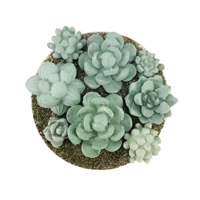 Concrete Succulent Garden Container