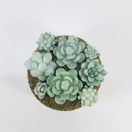 Concrete Succulent Garden Container