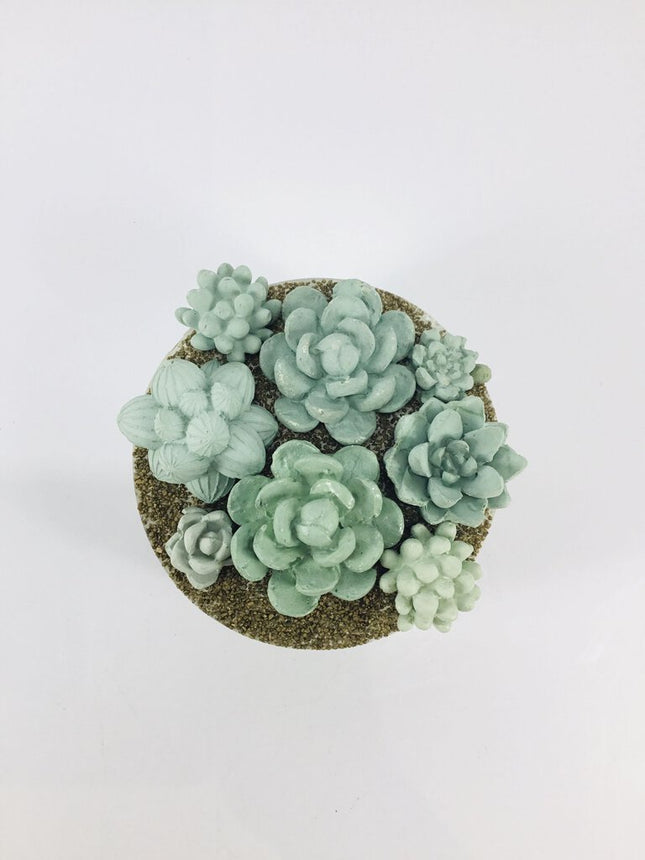 Concrete Succulent Garden Container