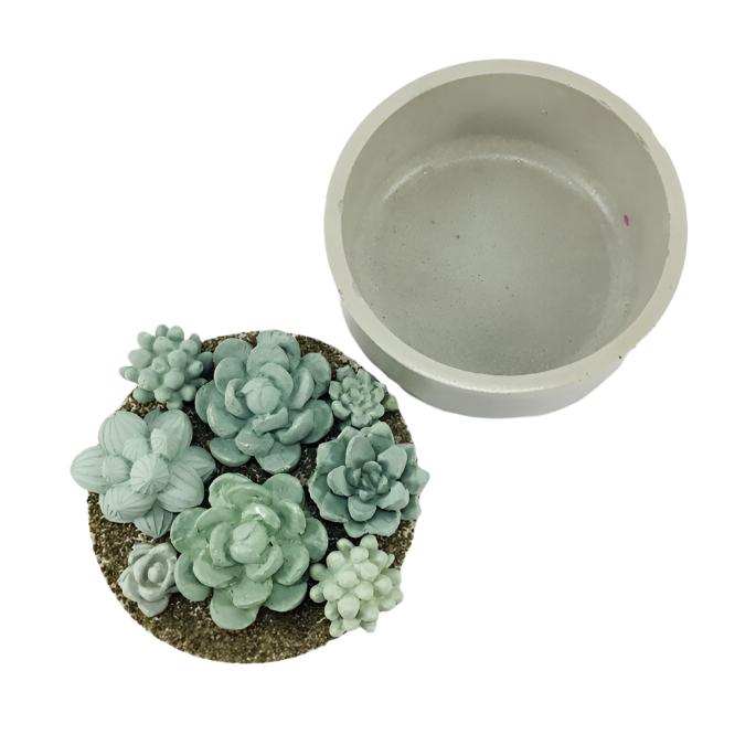 Concrete Succulent Garden Container