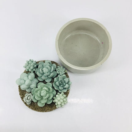 Concrete Succulent Garden Container