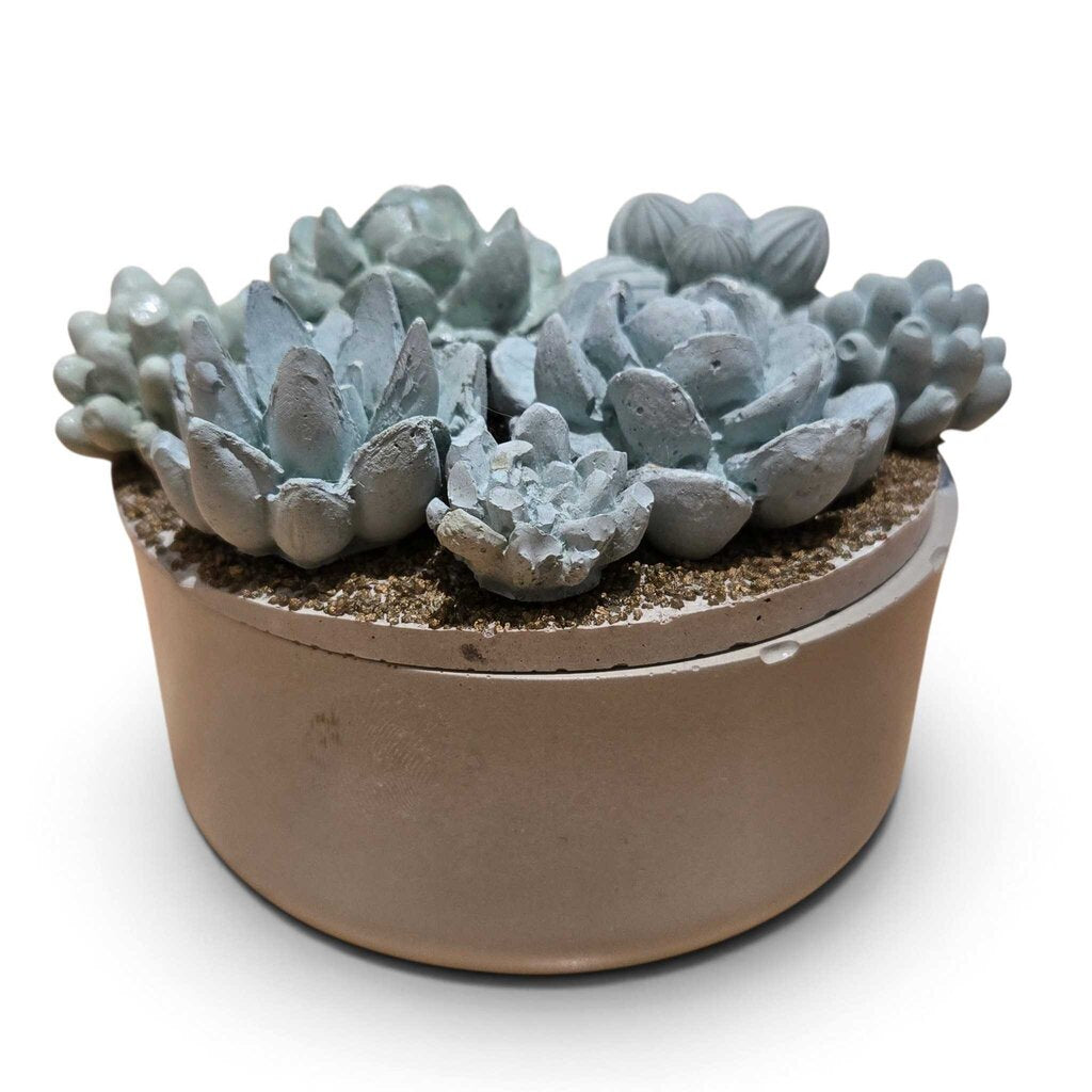 Concrete Succulent Garden Container
