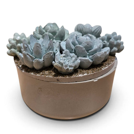 Concrete Succulent Garden Container