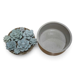 Concrete Succulent Garden Container - view 2