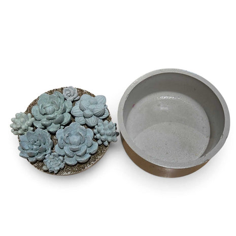 Concrete Succulent Garden Container