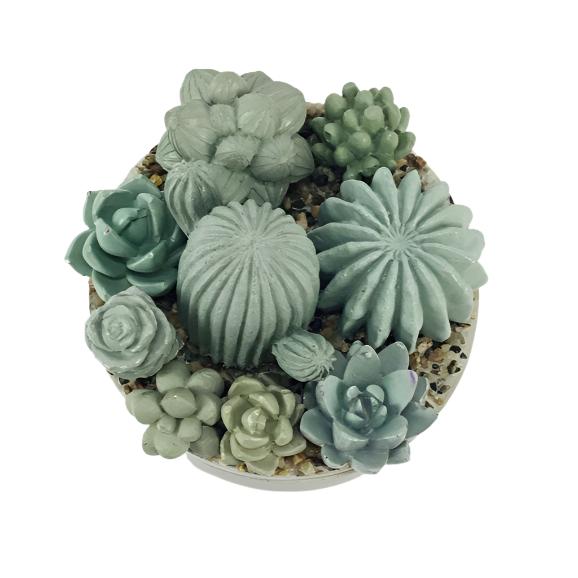 Concrete Succulent Garden Container