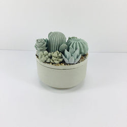 Concrete Succulent Garden Container - view 3