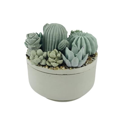 Concrete Succulent Garden Container