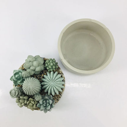 Concrete Succulent Garden Container