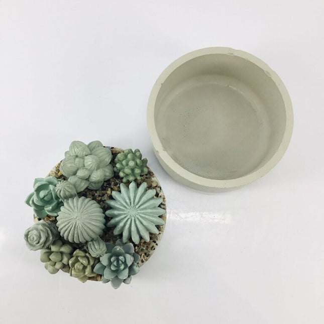 Concrete Succulent Garden Container