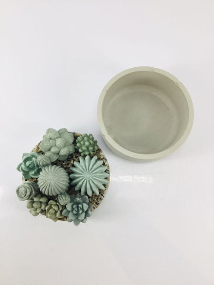 Concrete Succulent Garden Container