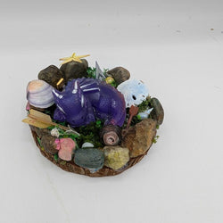 Baby Dragon Nest - view 1