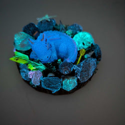 Baby Dragon Nest - view 2
