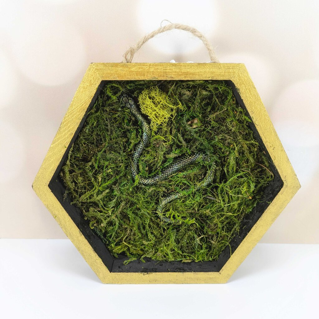 Mossy Snake Hexagon Hanging Wall Decor