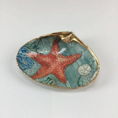 Red Starfish MD Clam ( Jenness Beach, Rye NH)