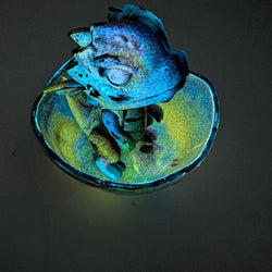 Hatchling - view 2