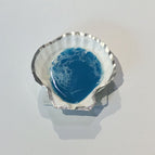 Shell / Aqua 4 / New