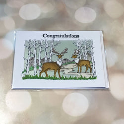 Congratulations - view 1
