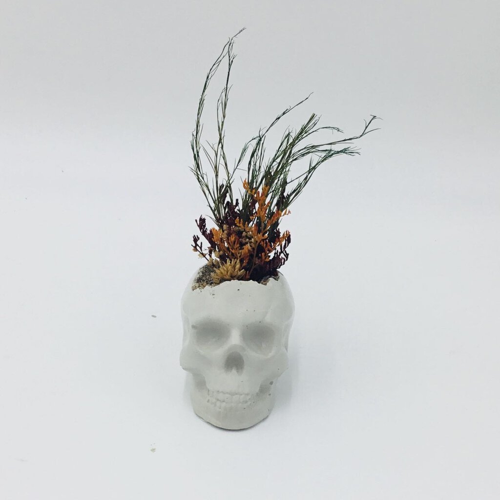 Mini Concrete Skull with Flowers