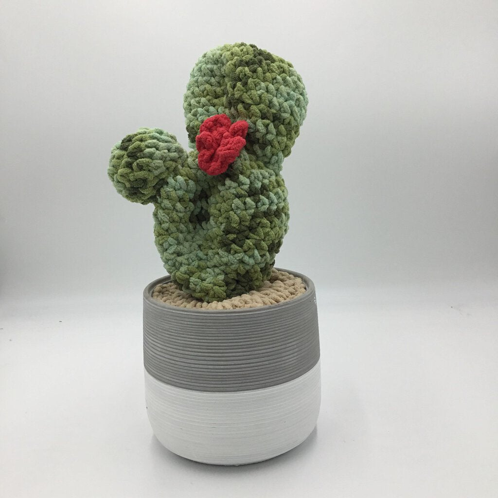 Jumbo Paddle Cactus