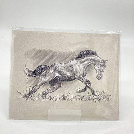 24 Horse