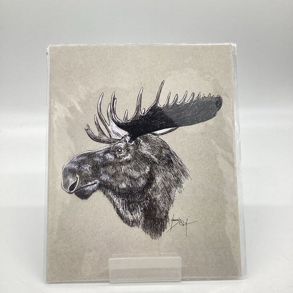 24 Moose