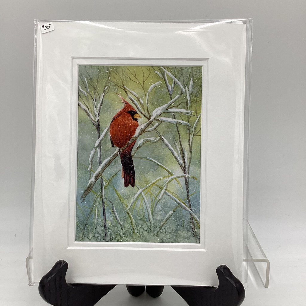 5x7 PRINTS - Matted - Cardinal